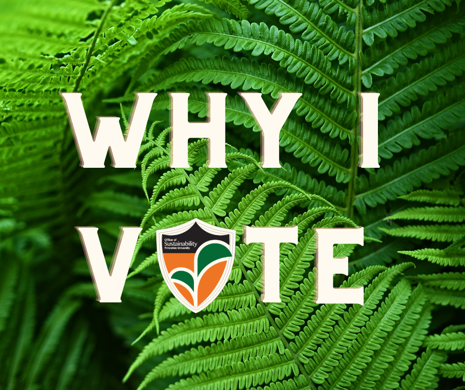 green leaves with "why I vote" text